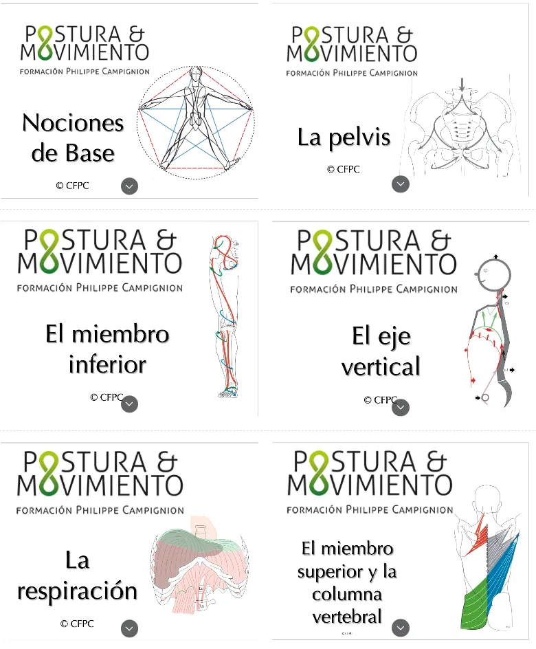 Programa PyM